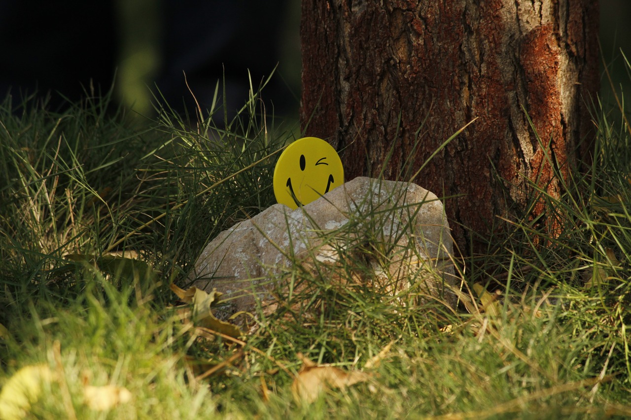 smiley yellow grass free photo