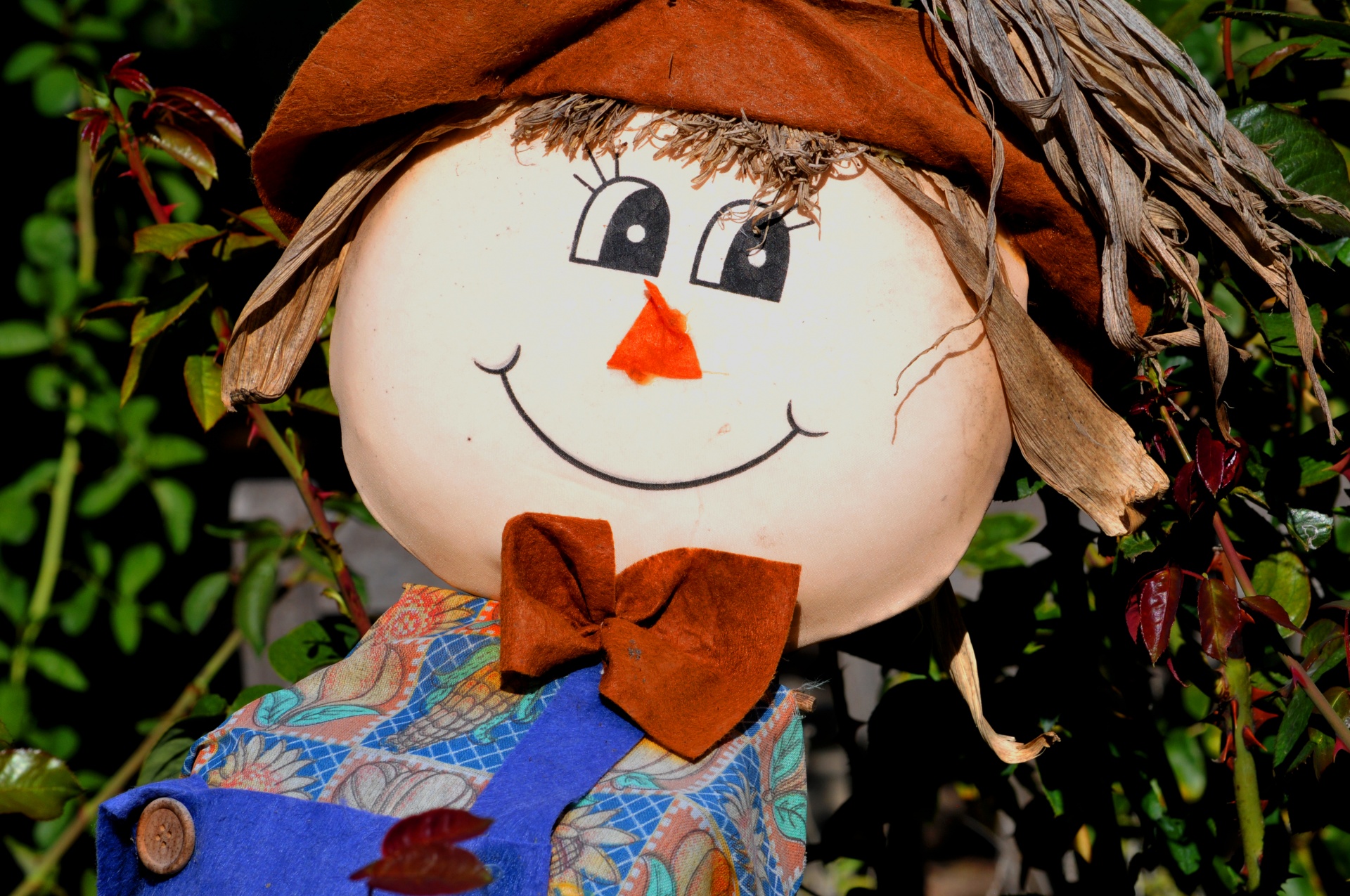 scarecrow boy decoration free photo