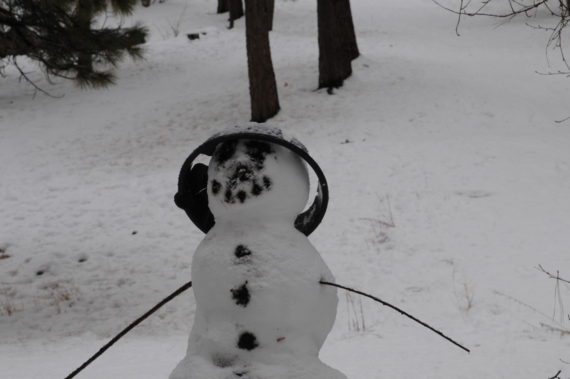 winter holiday snowman free photo