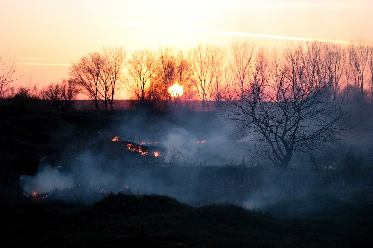 smoke fire sunset free photo