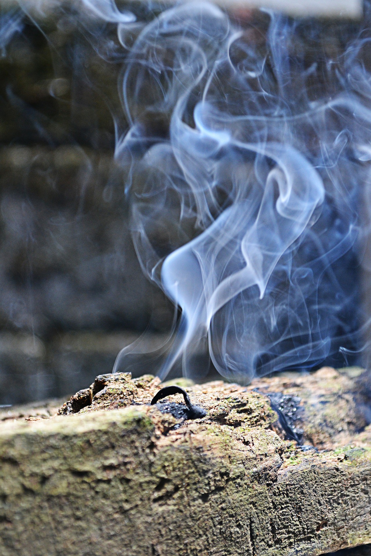 smoke log burn free photo