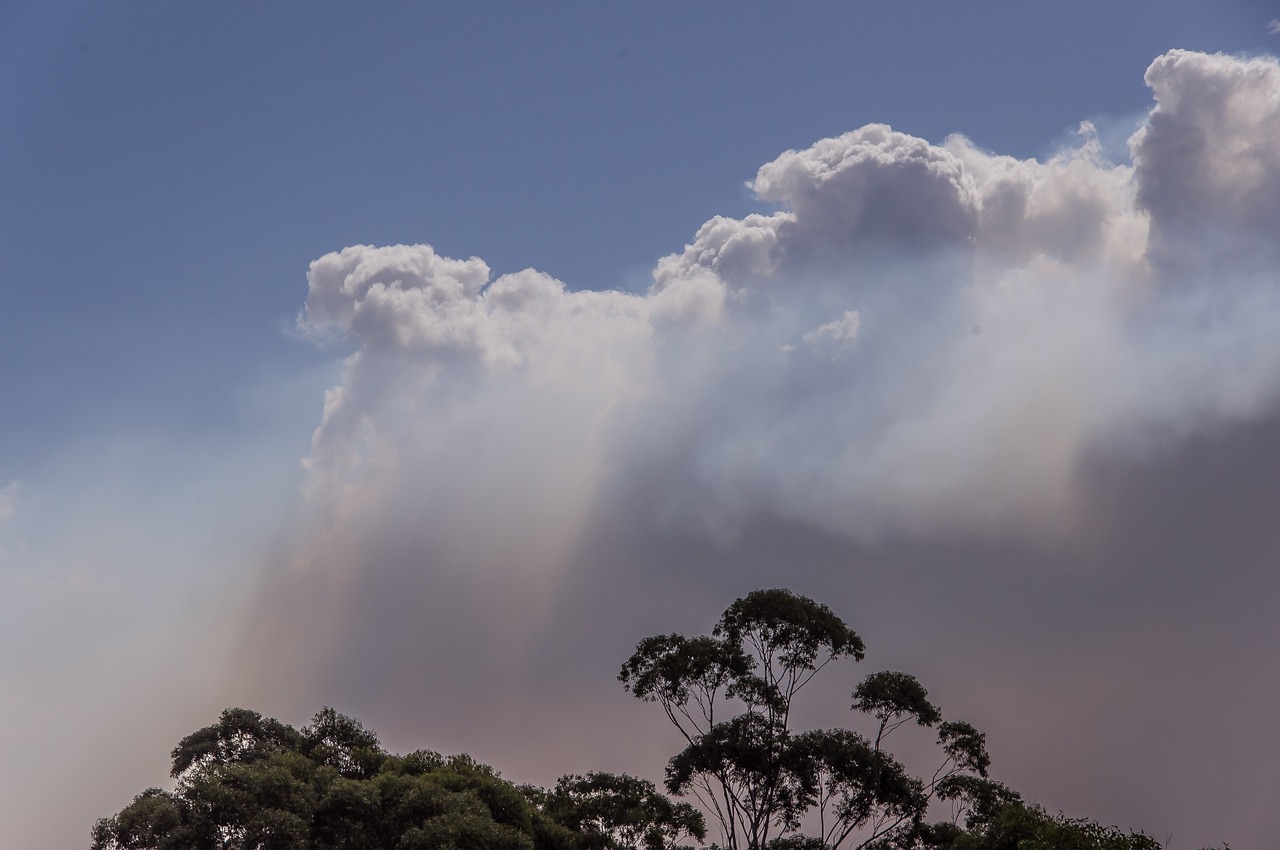 smoke clouds bushfire free photo
