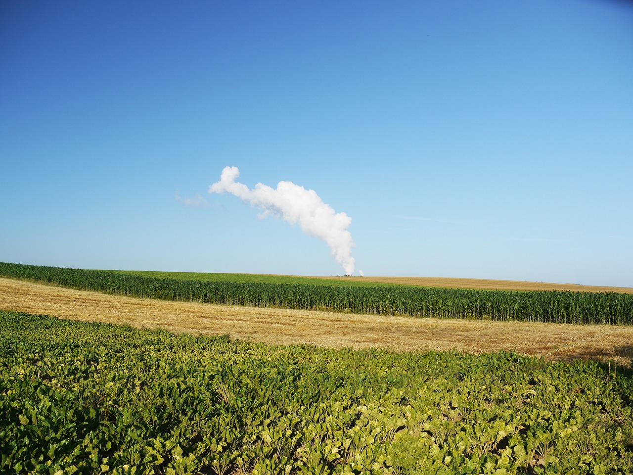 smoke flag nature free photo