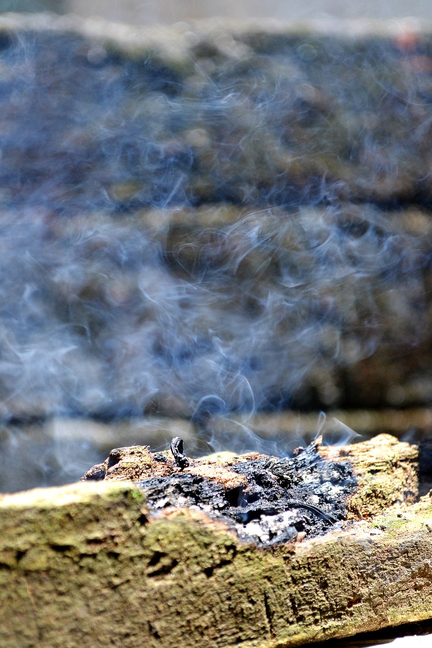 smoke dispersed smoke log free photo
