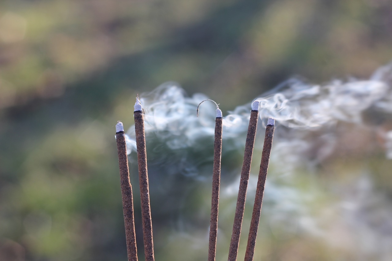 smoke blow incense free photo