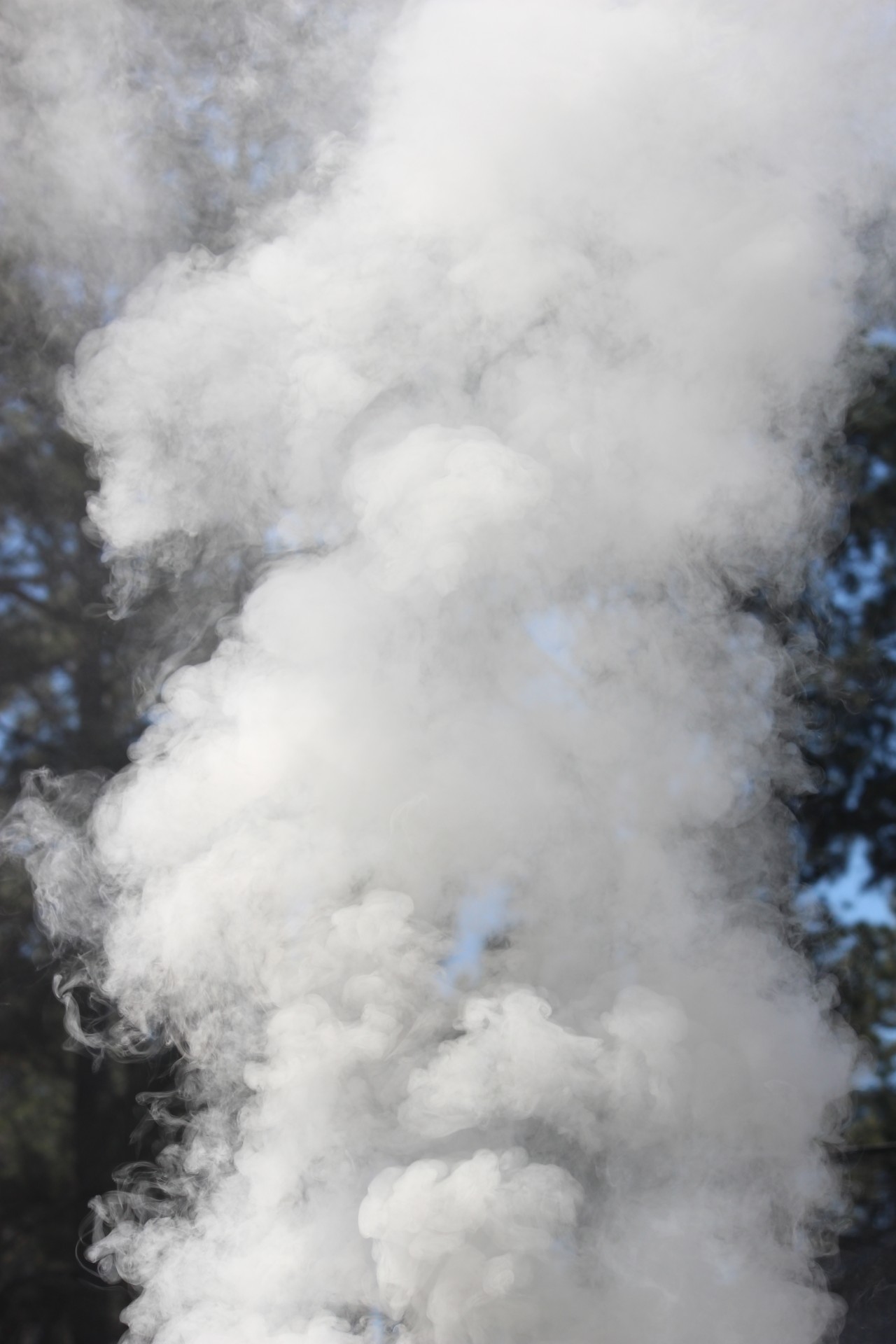 smoke burning barrel free photo
