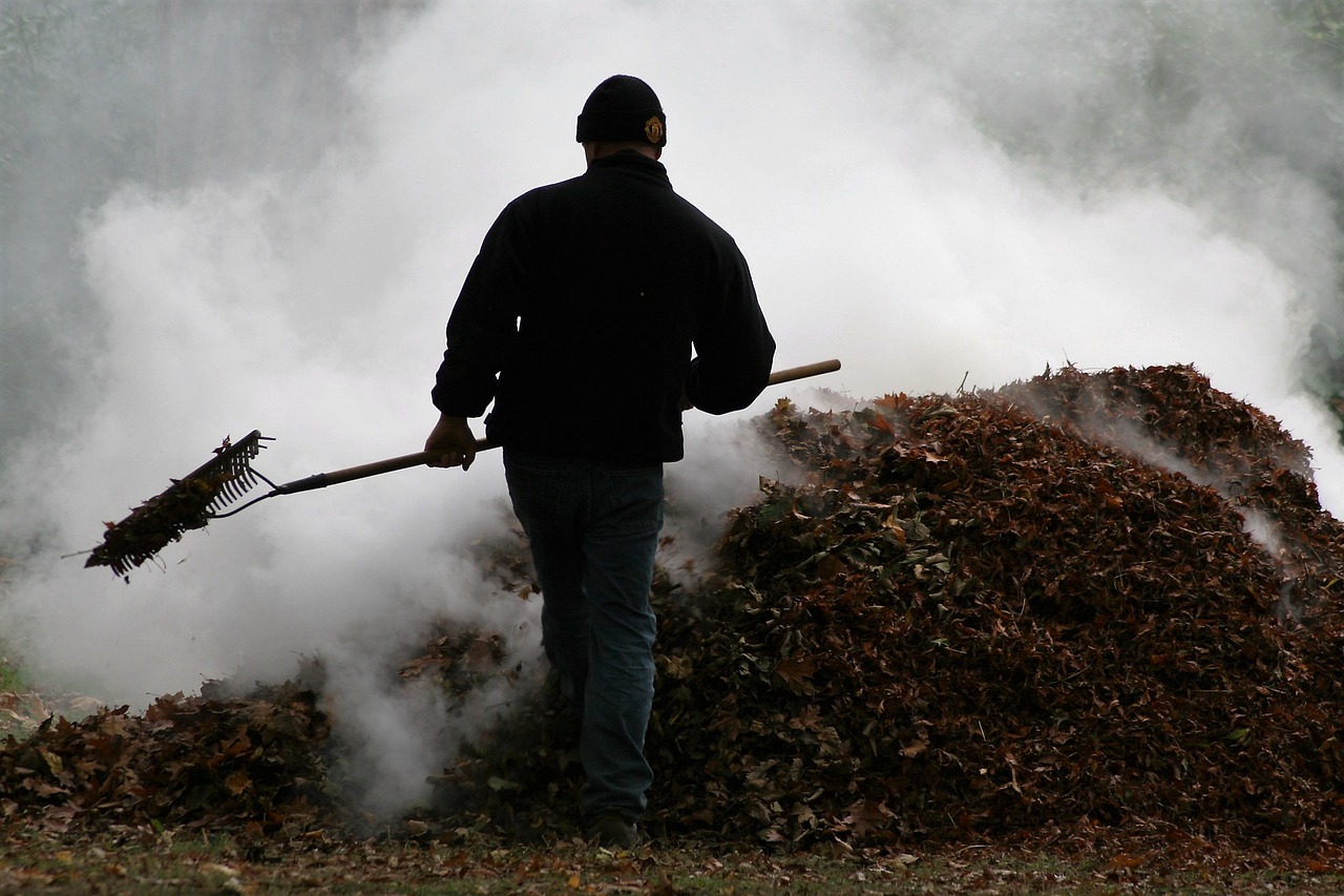 smoke bonfire autumn free photo