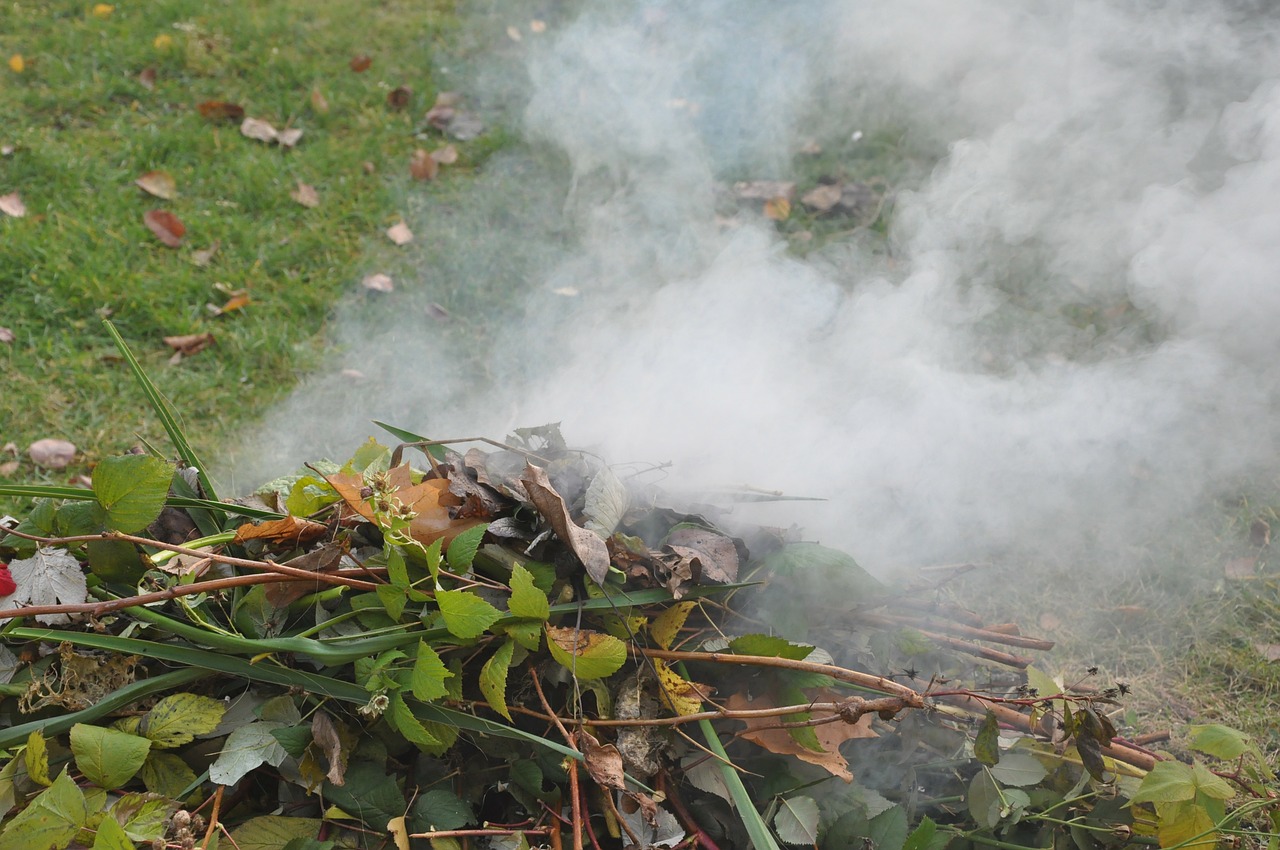 smoke an outbreak of garden free photo