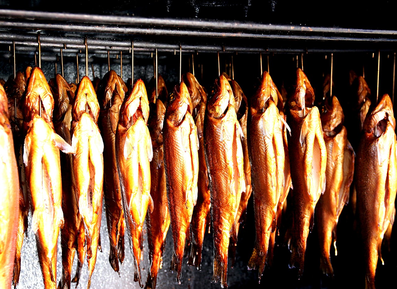 smoked trout smoking oven trout free photo