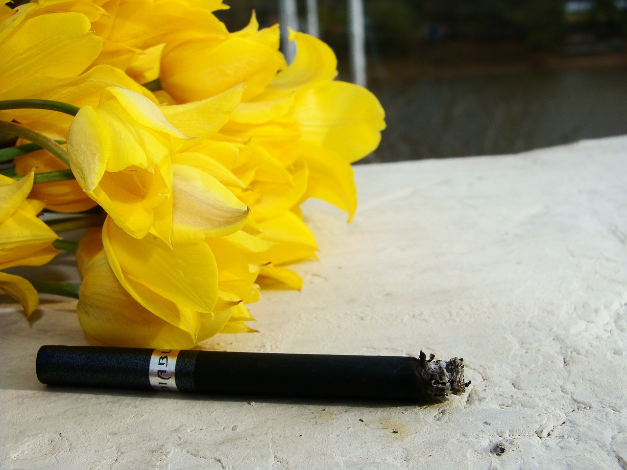 smoking cigarette flowers free photo