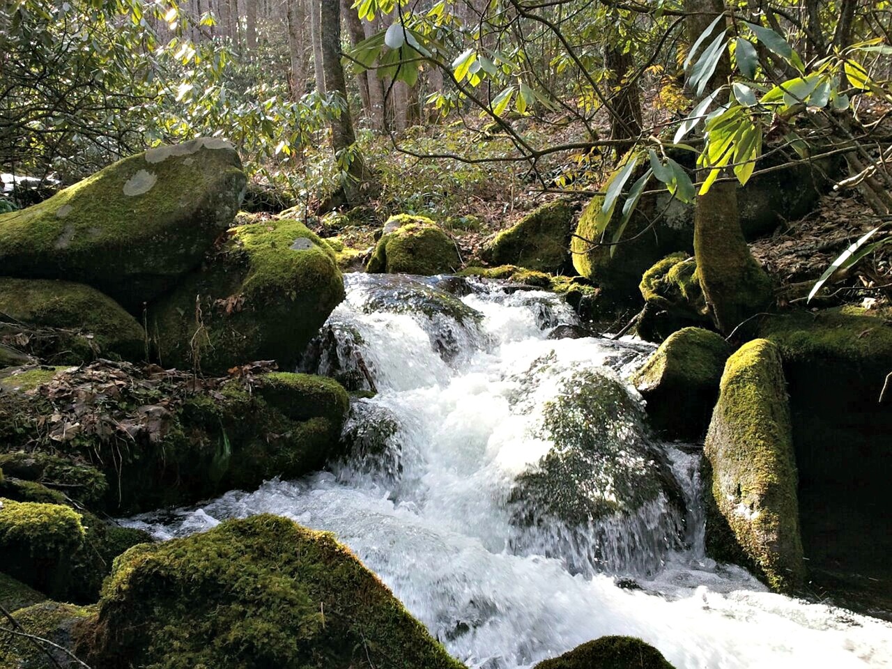 smoky mountains water rapids free photo