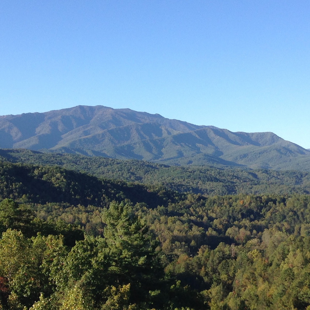 smoky mountains tennessee smoky mountain national park free photo