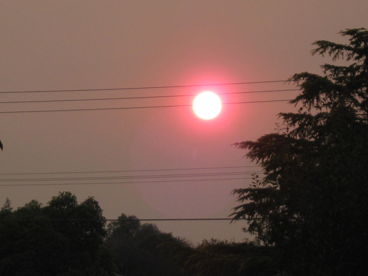 sun haze bushfires free photo