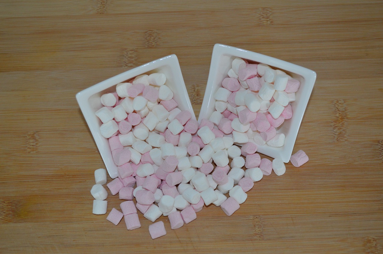 smores marshmallow sweets free photo