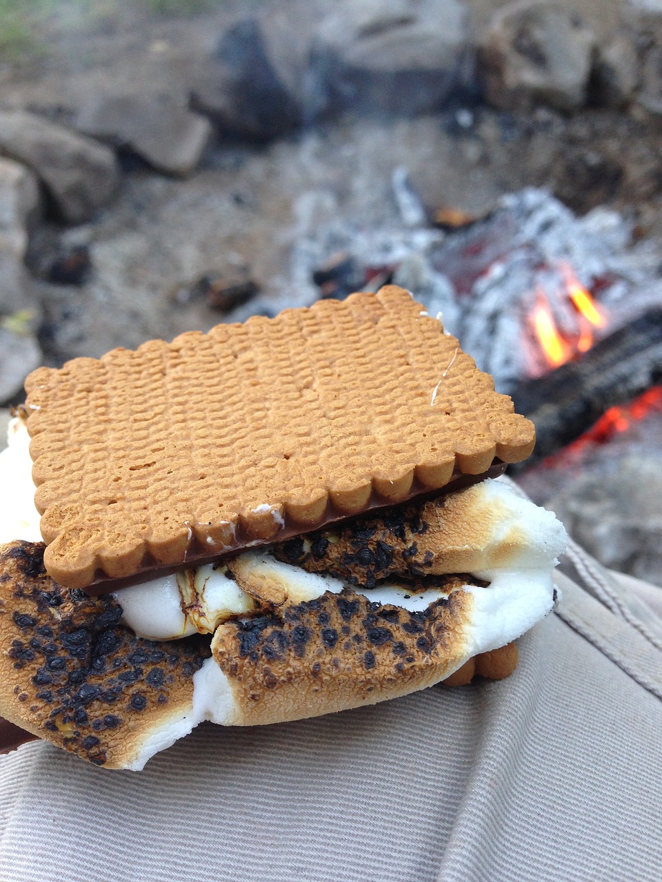 smores marshmallow camping free photo
