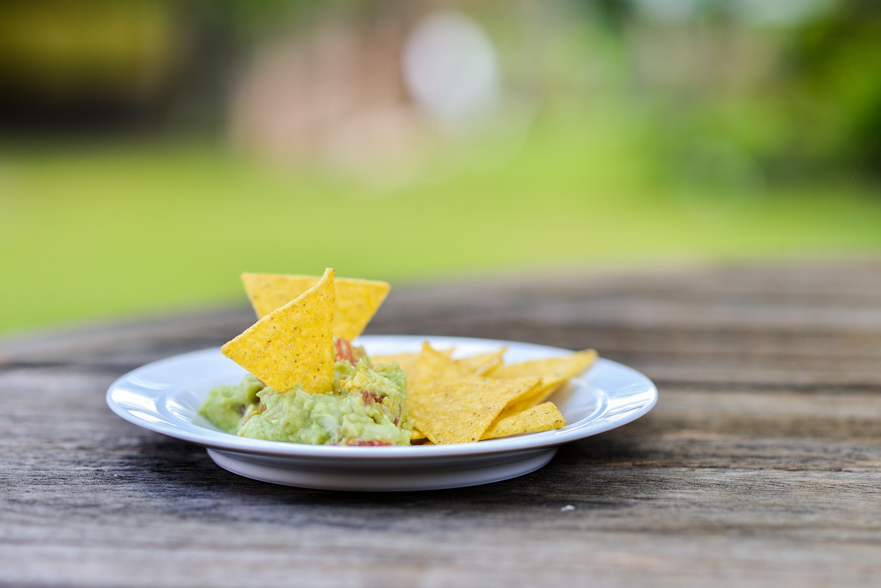 snack nachos guacamole free photo