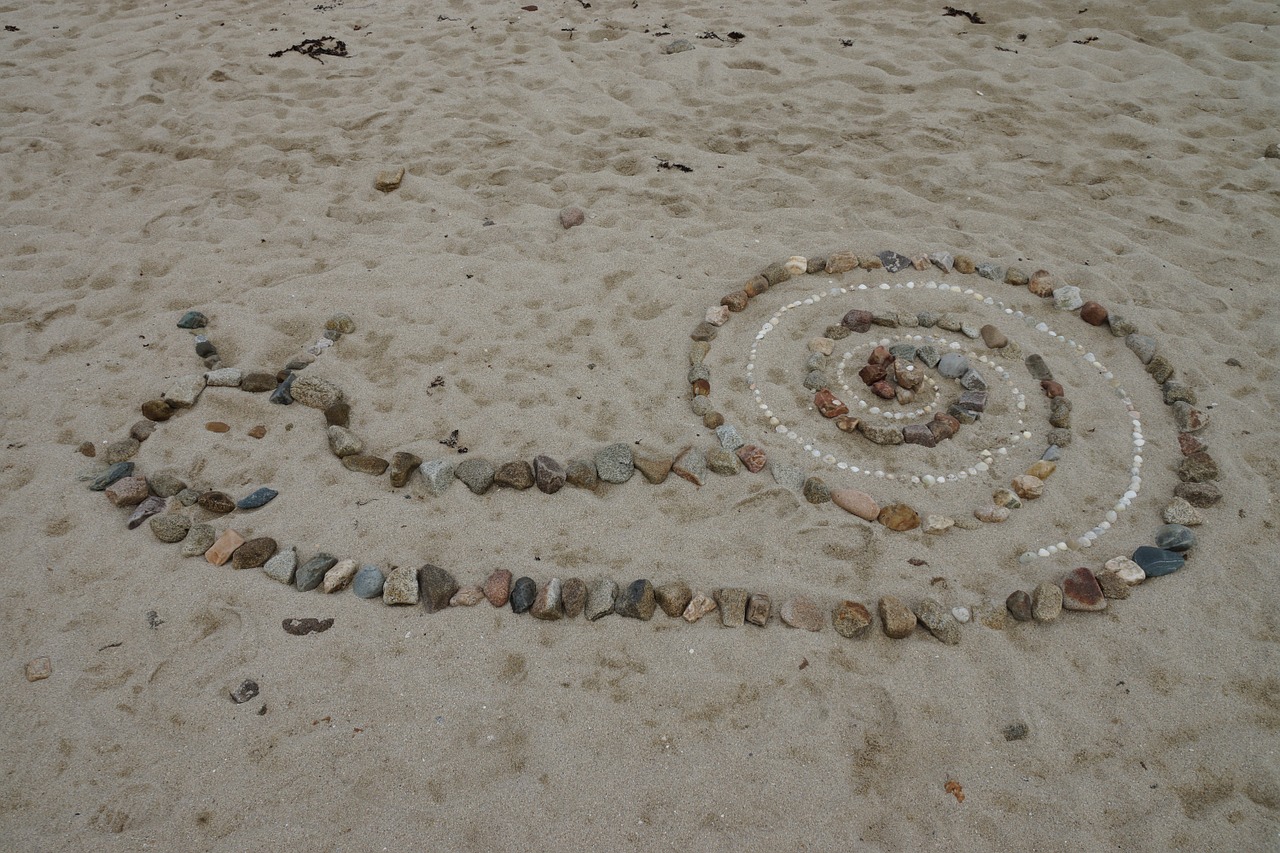 snail beach stones free photo