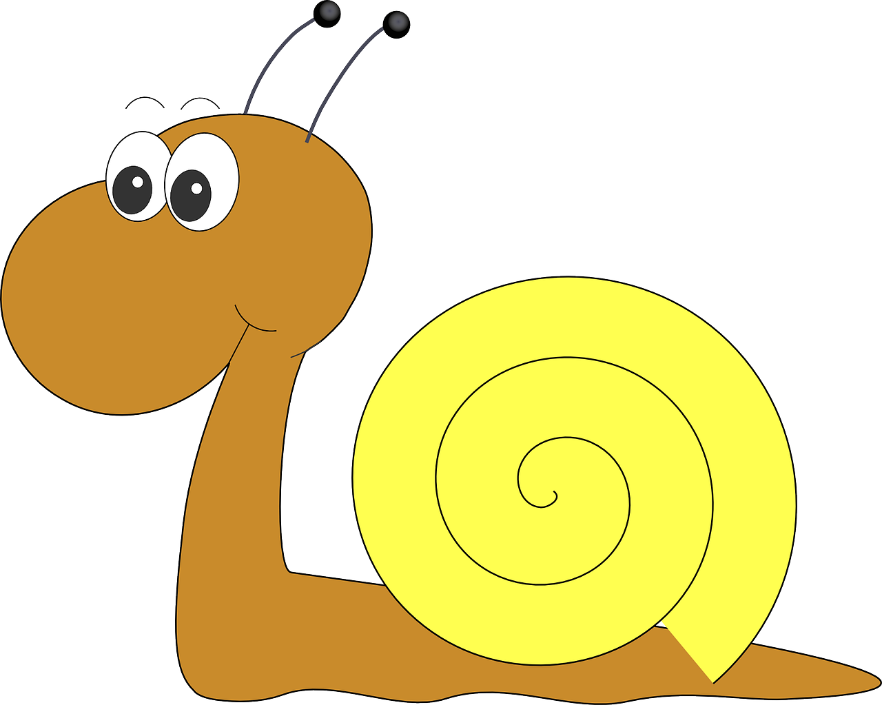 snail happy funny free photo