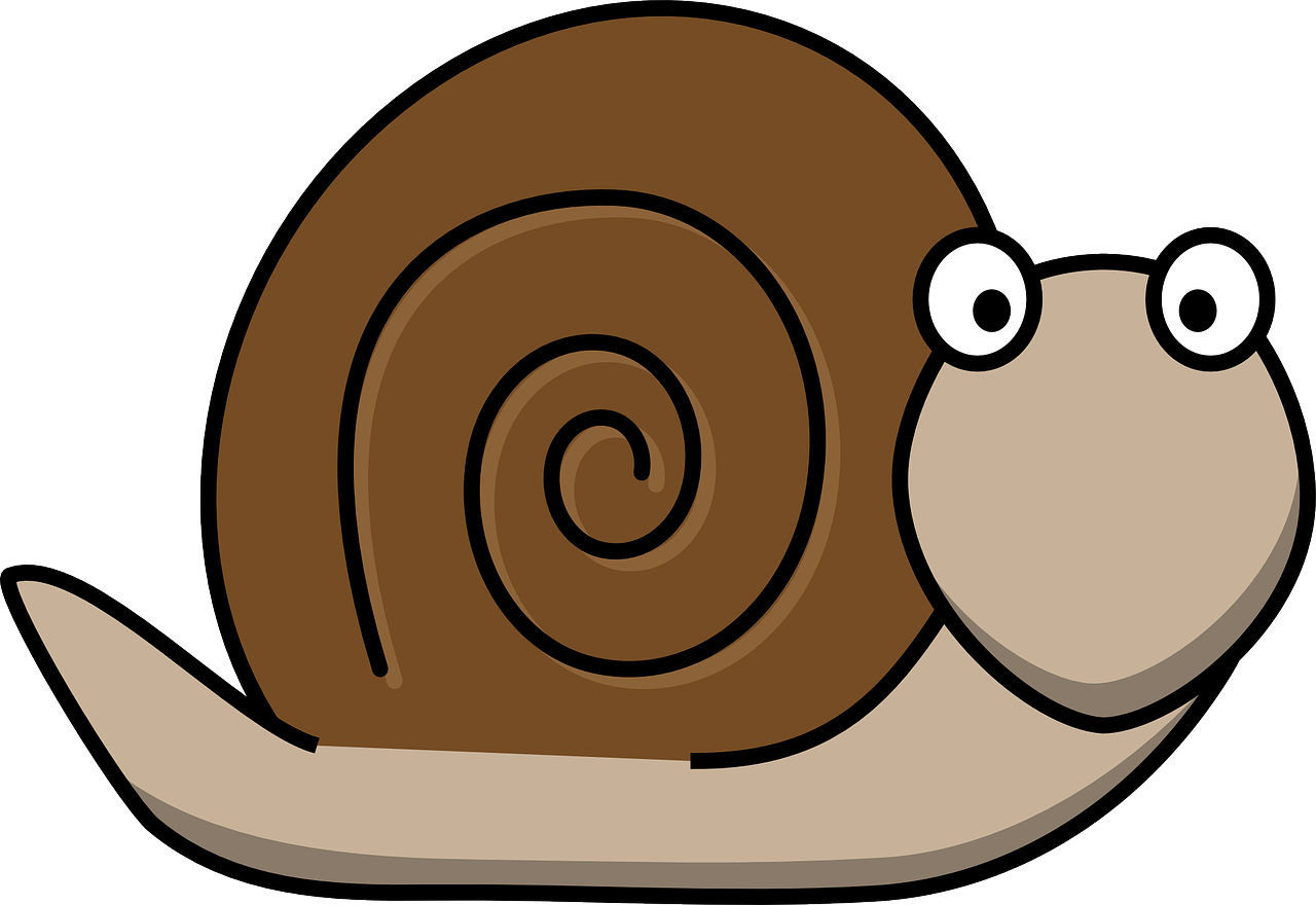 snail animal fun free photo