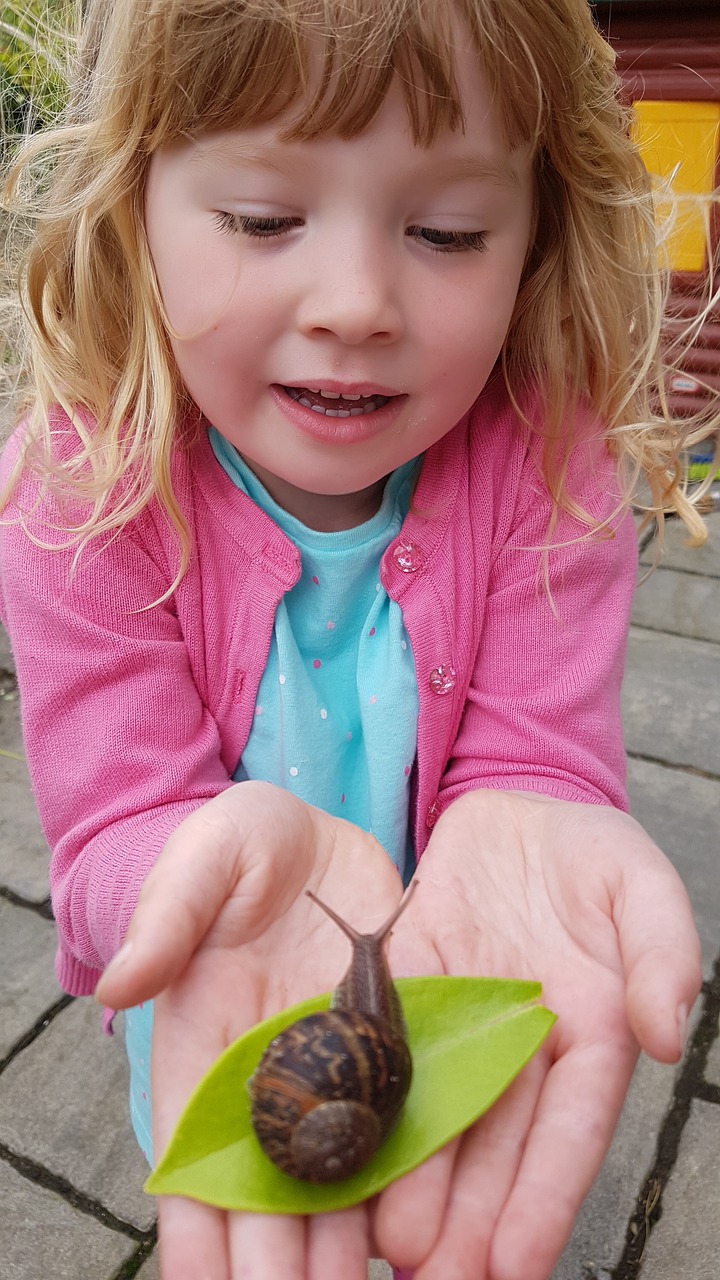 snail leaf hand free photo