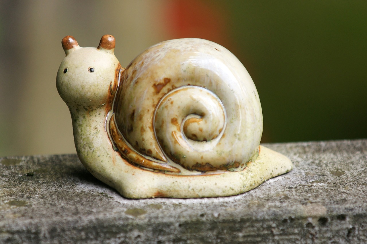 snail figure shell free photo