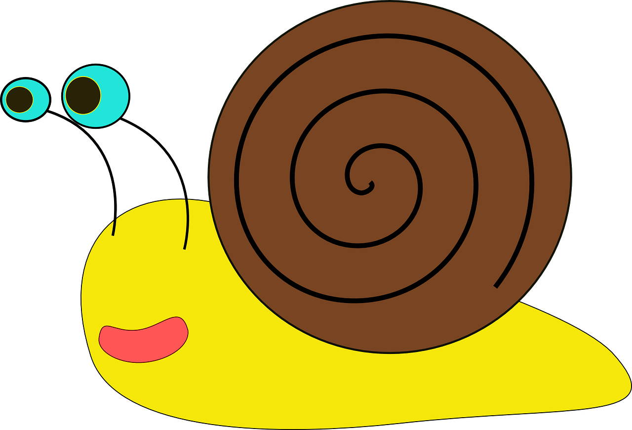 snail mollusk gastropod free photo