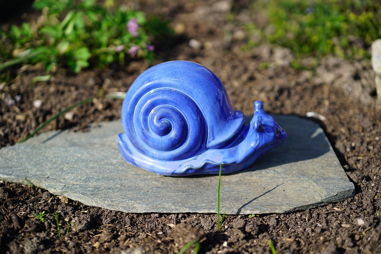 snail blue decorative screw free photo