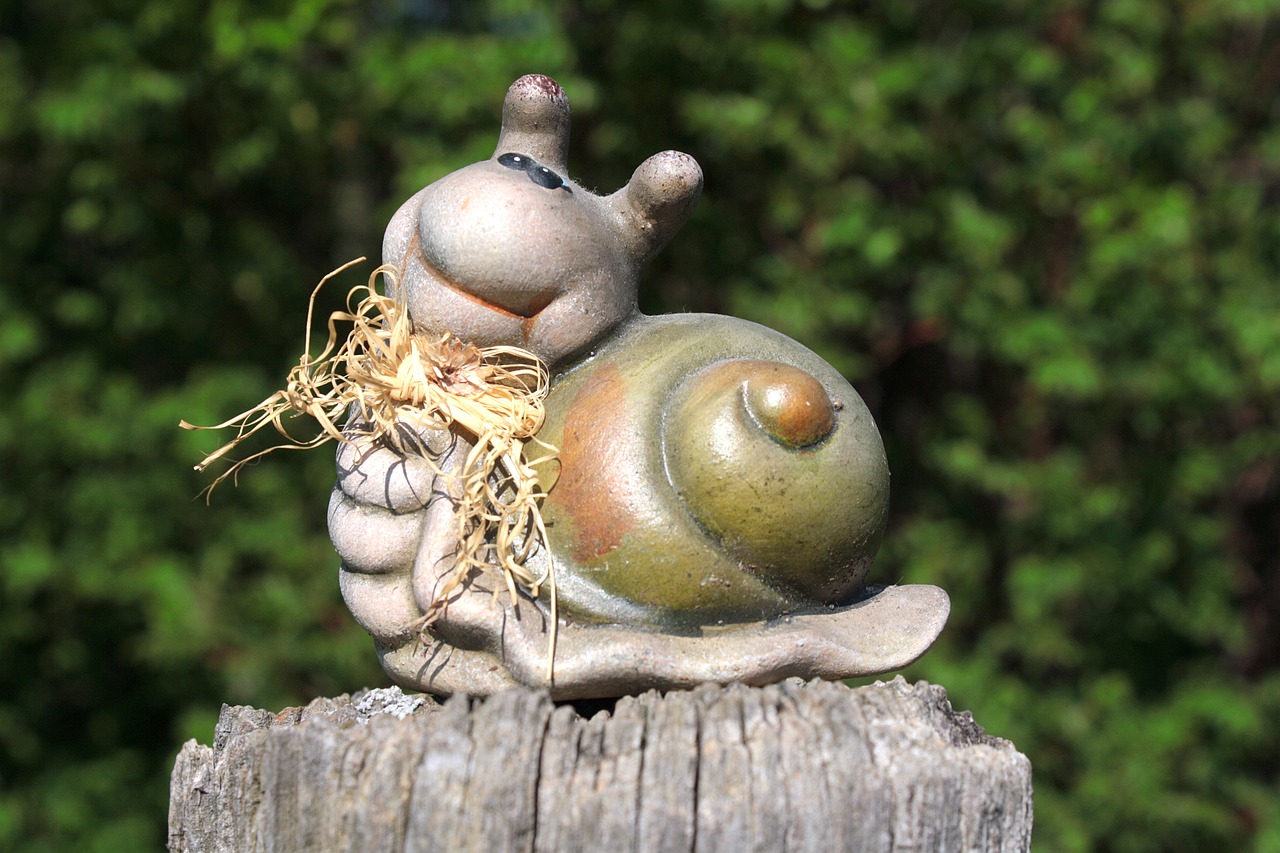 snail  dreamy  casing free photo