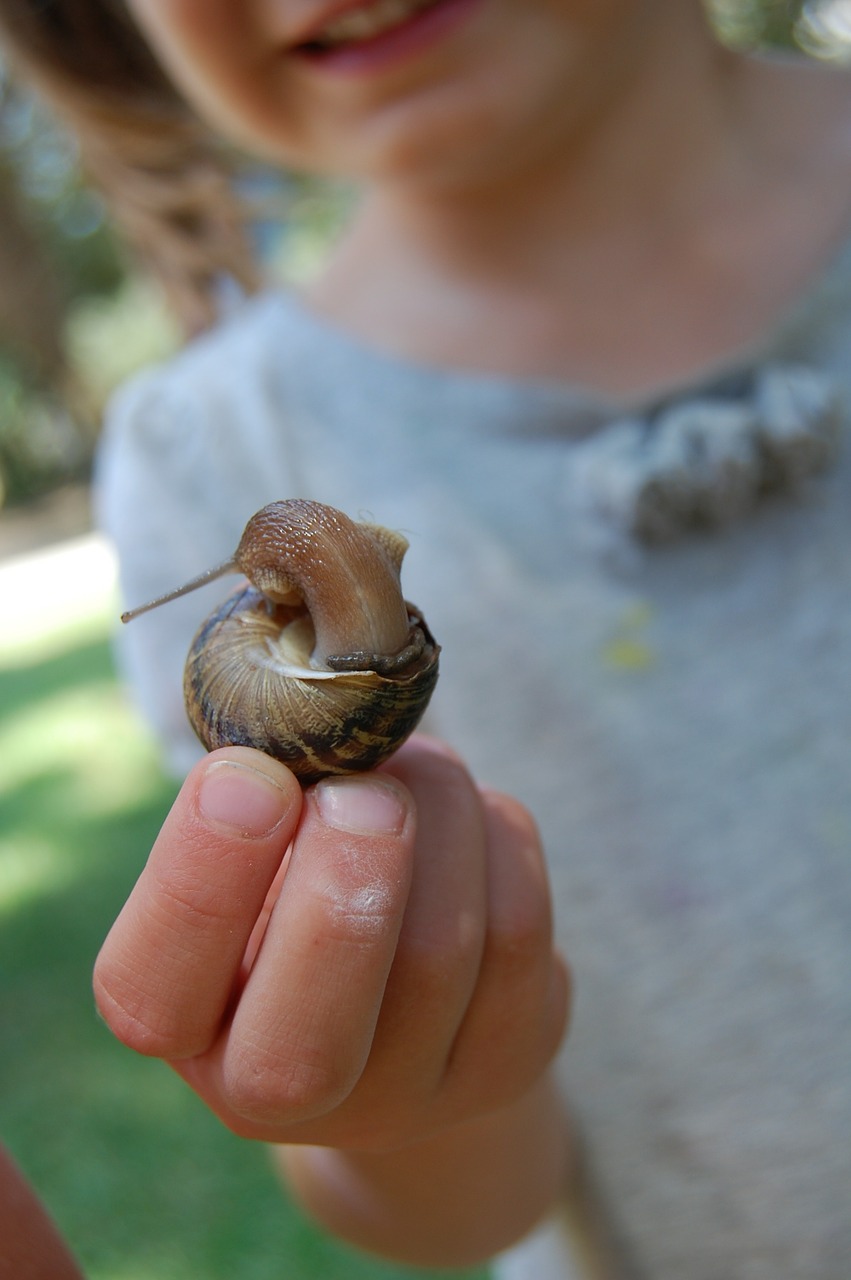 snail girl hand free photo