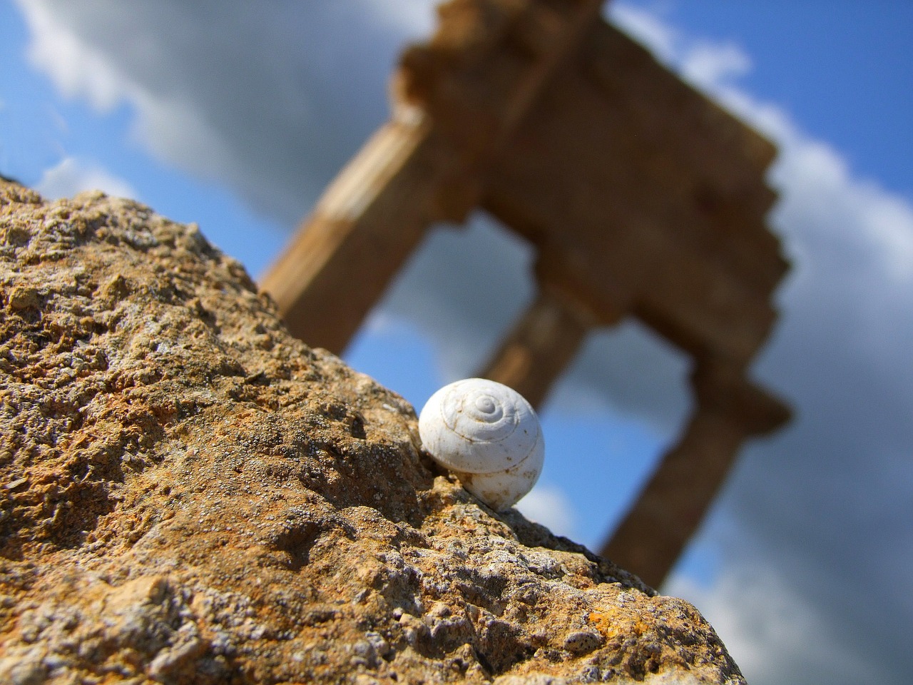 snail sicily stones free photo