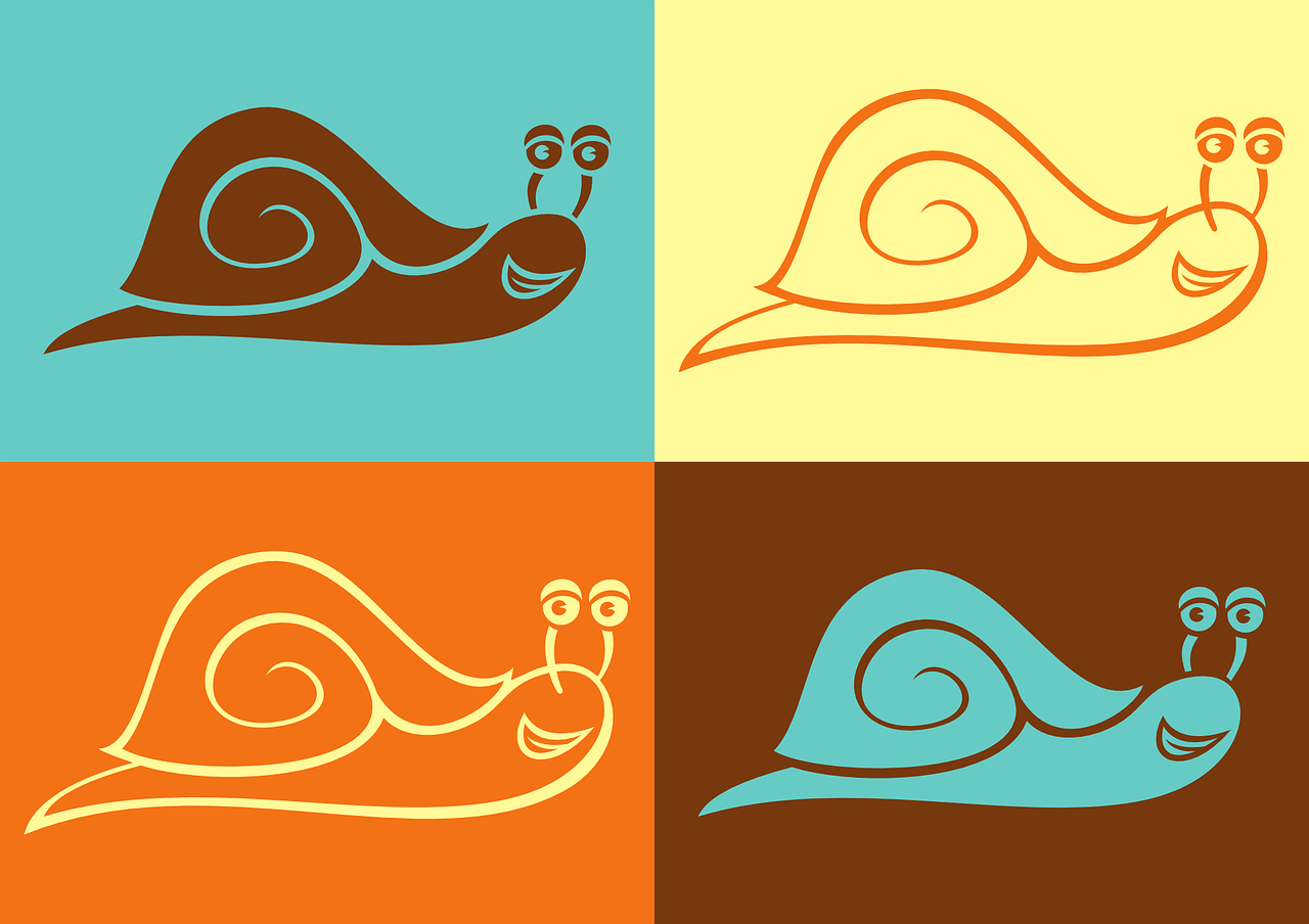 snail vector color free photo