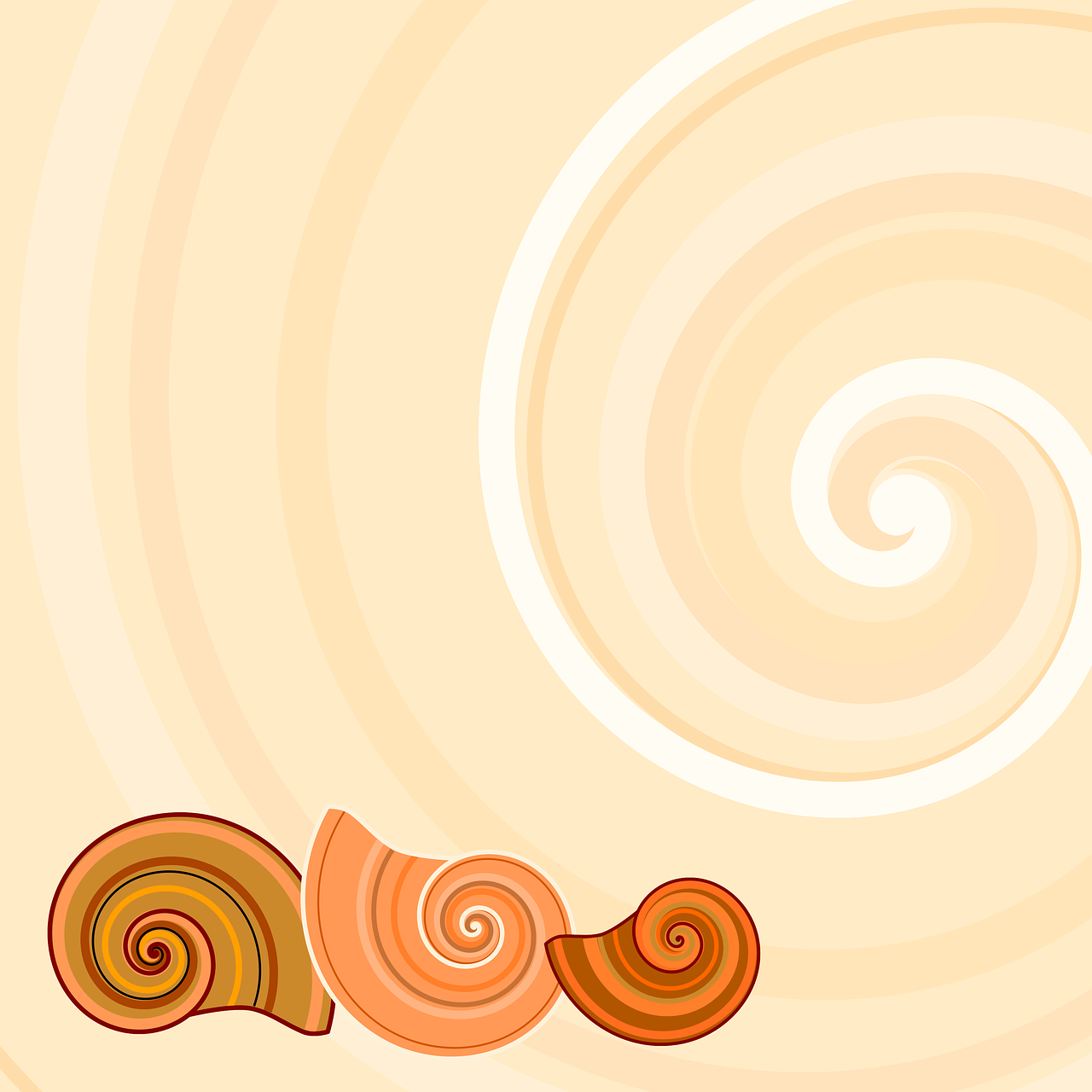 snail shells snail background free photo