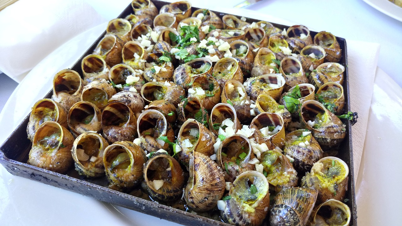 snails  snail  recipe free photo