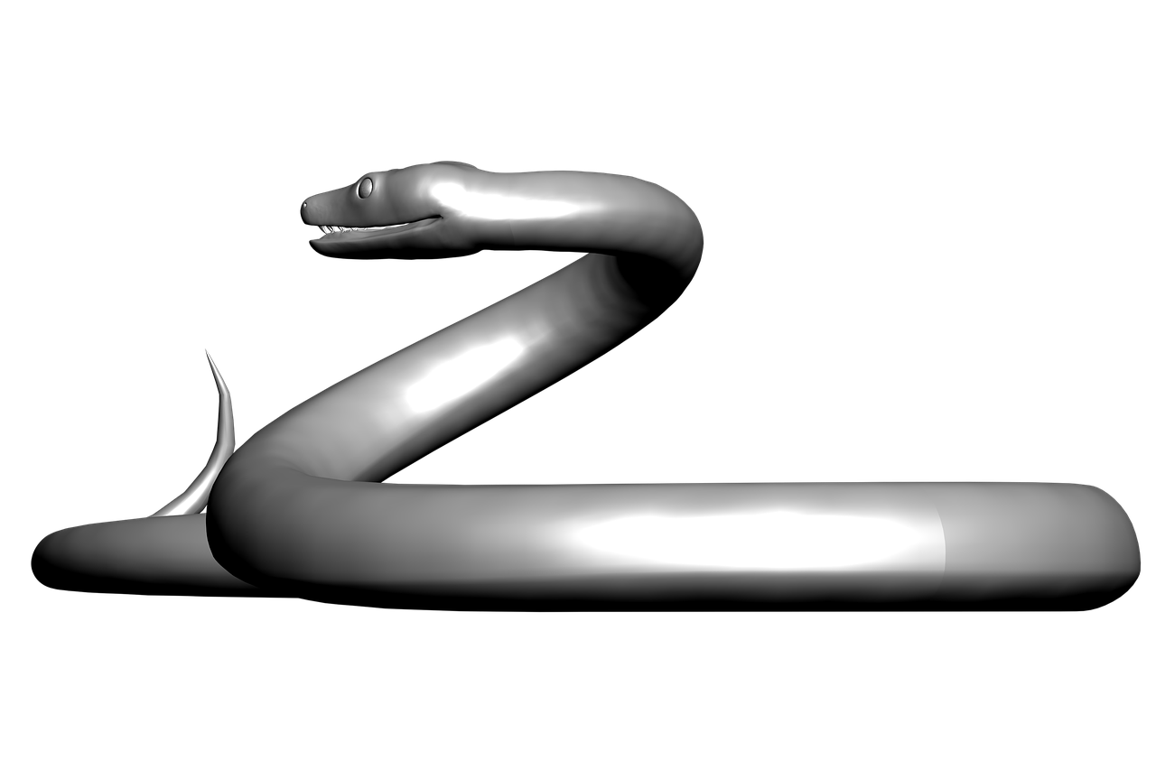 snake 3d re free photo