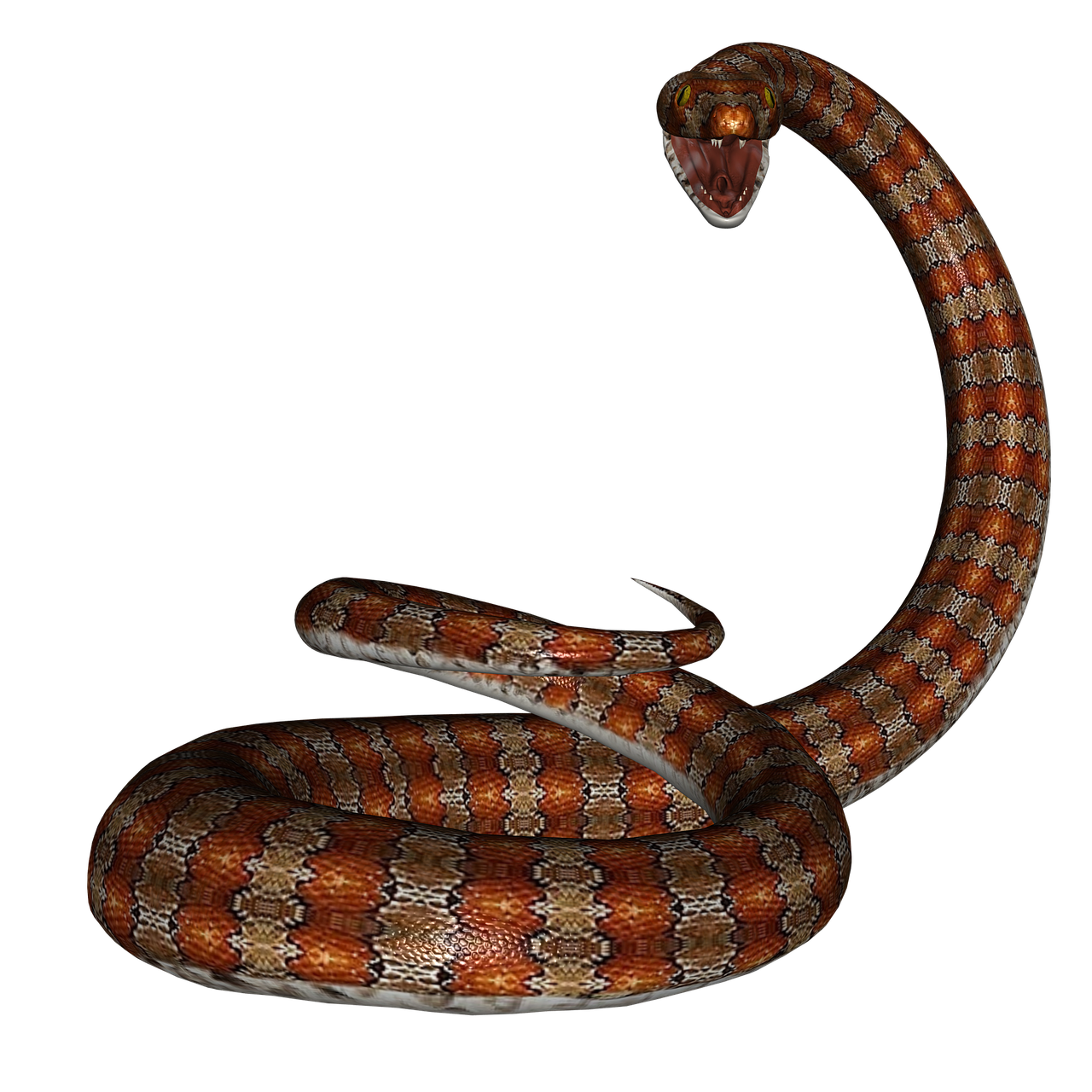snake rat snake reptile free photo