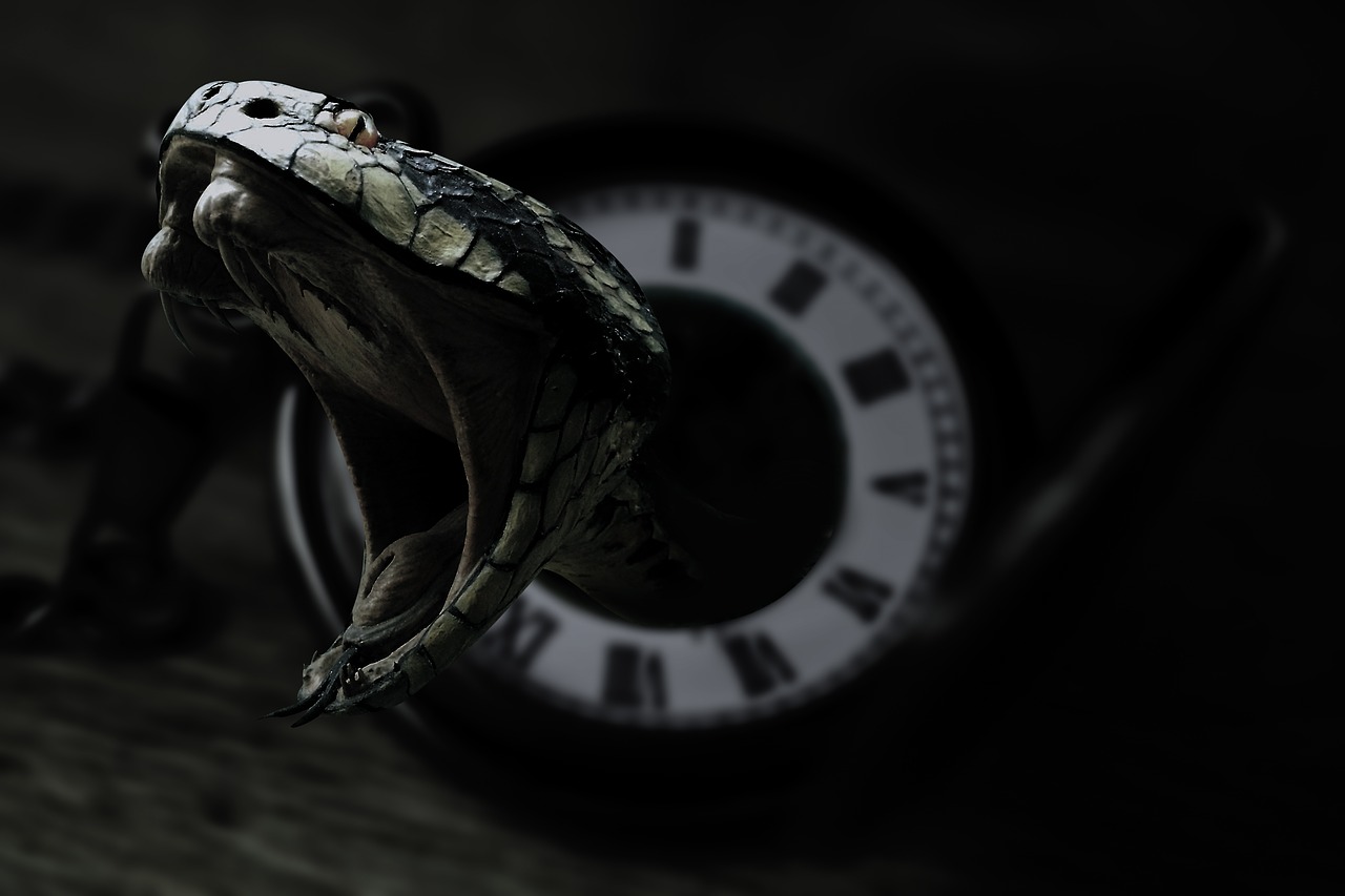 snake  clock  black free photo