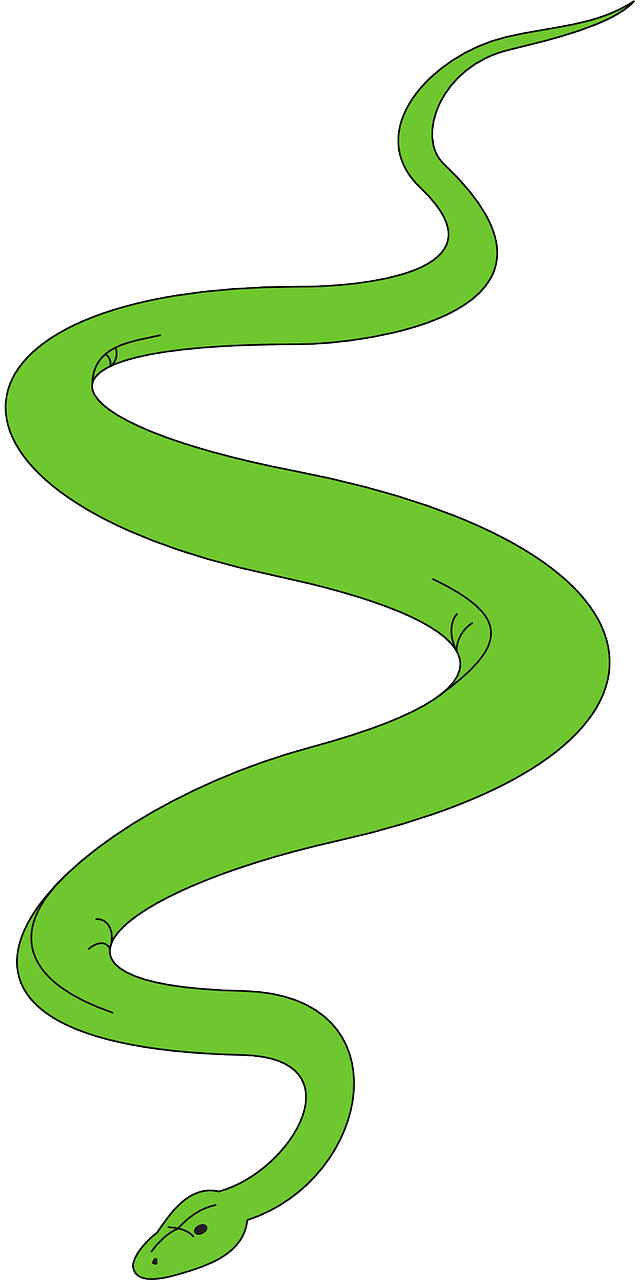 snake,green,garden,reptile,slithering,slither,free vector graphics,free pictures, free photos, free images, royalty free, free illustrations, public domain