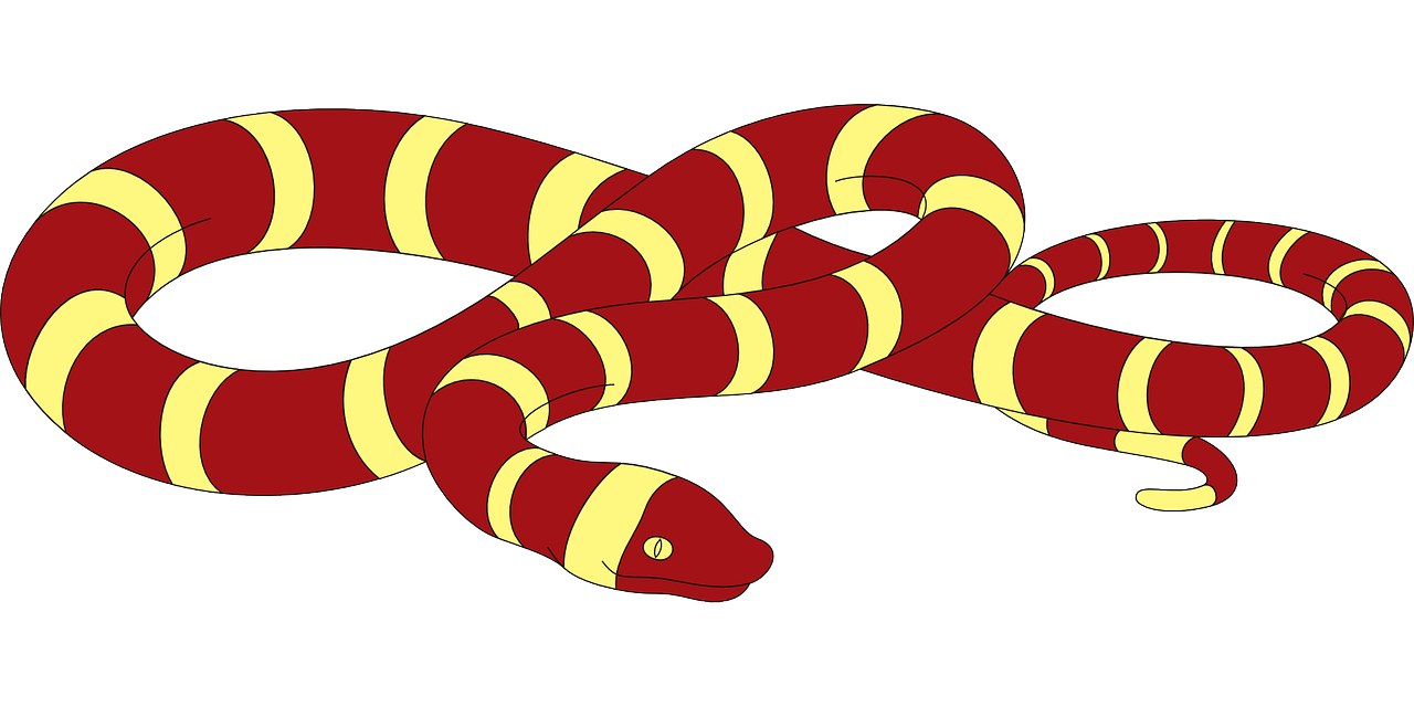 snake,red,yellow,striped,reptile,curled,stripes,free vector graphics,free pictures, free photos, free images, royalty free, free illustrations, public domain