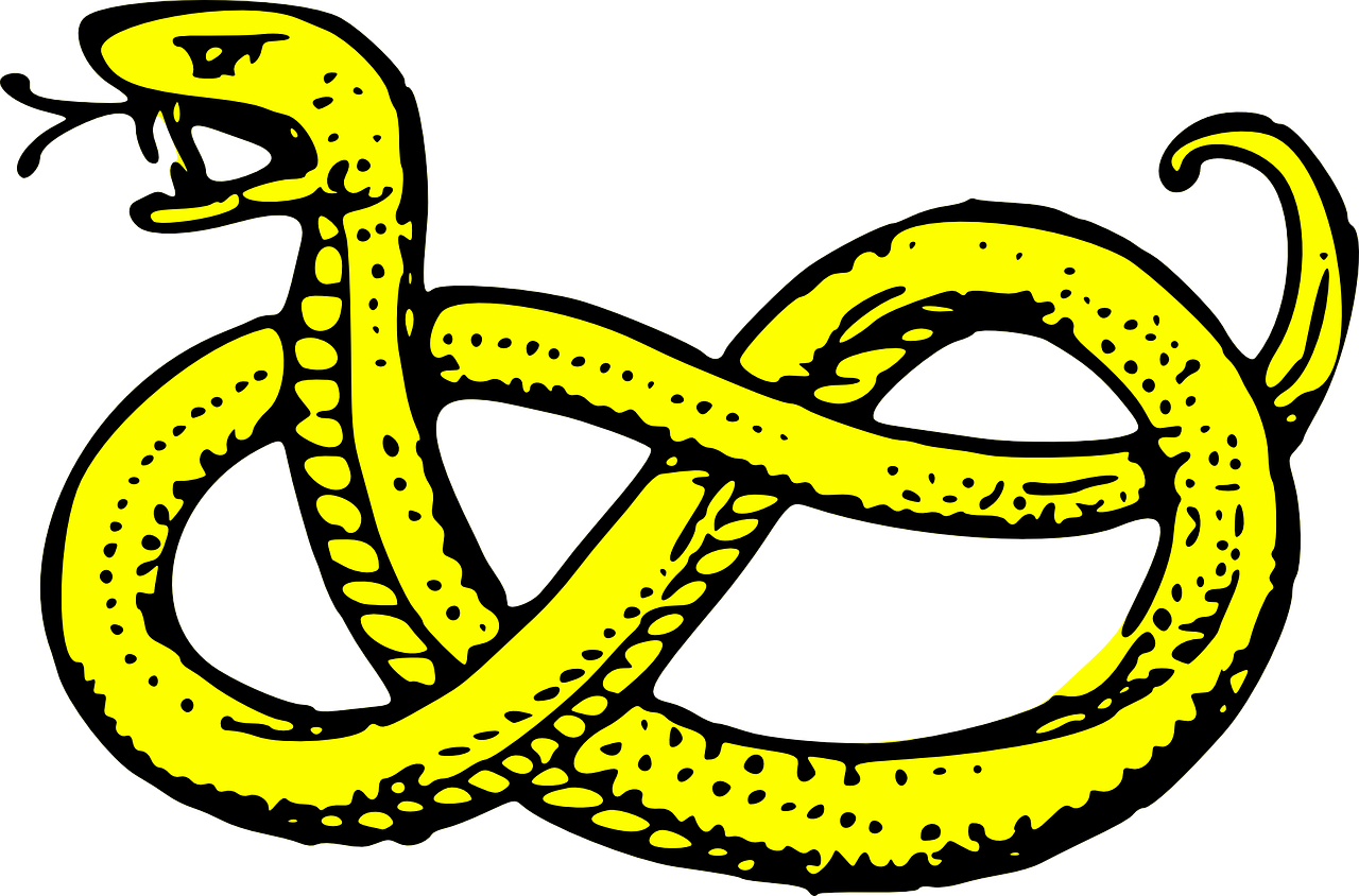 snake serpent yellow free photo