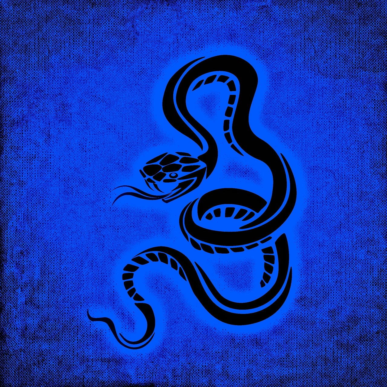snake dangerous background free photo