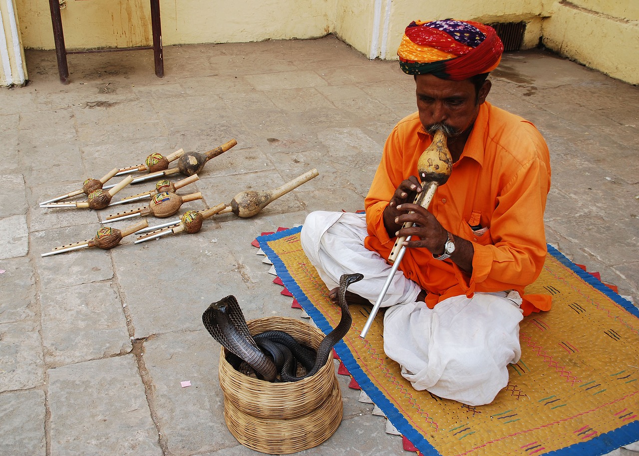 snake charmer jaipur amer fort jaipur tour travels free photo