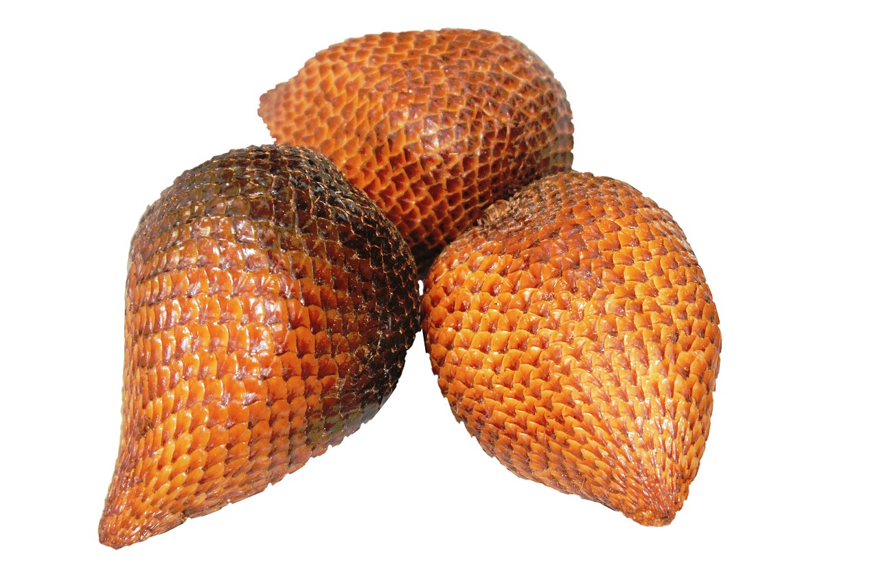 snake fruit food tropical free photo