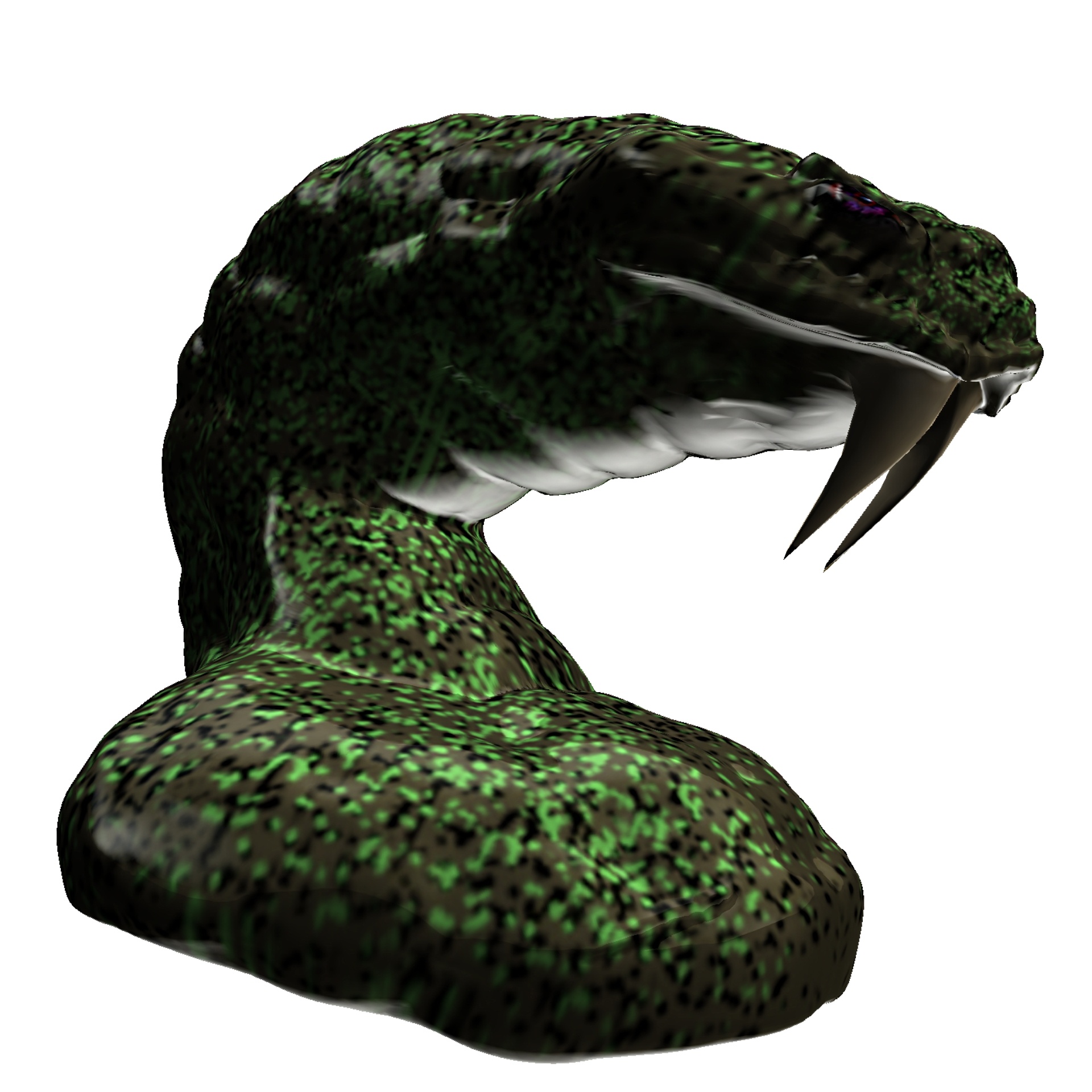 green snake head free photo