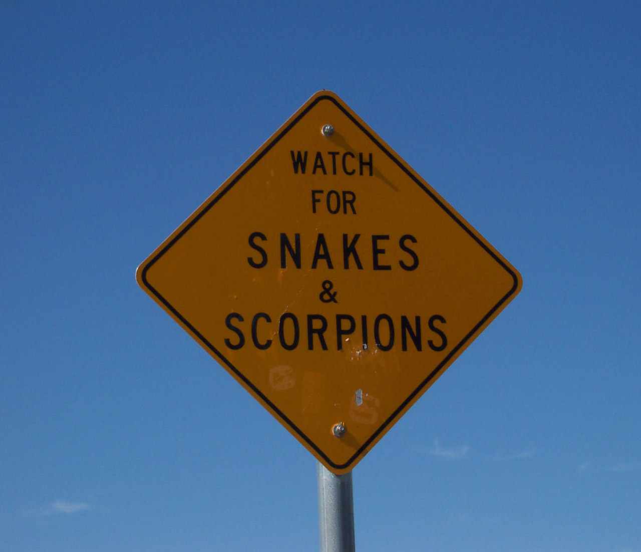 warning snakes scorpions free photo