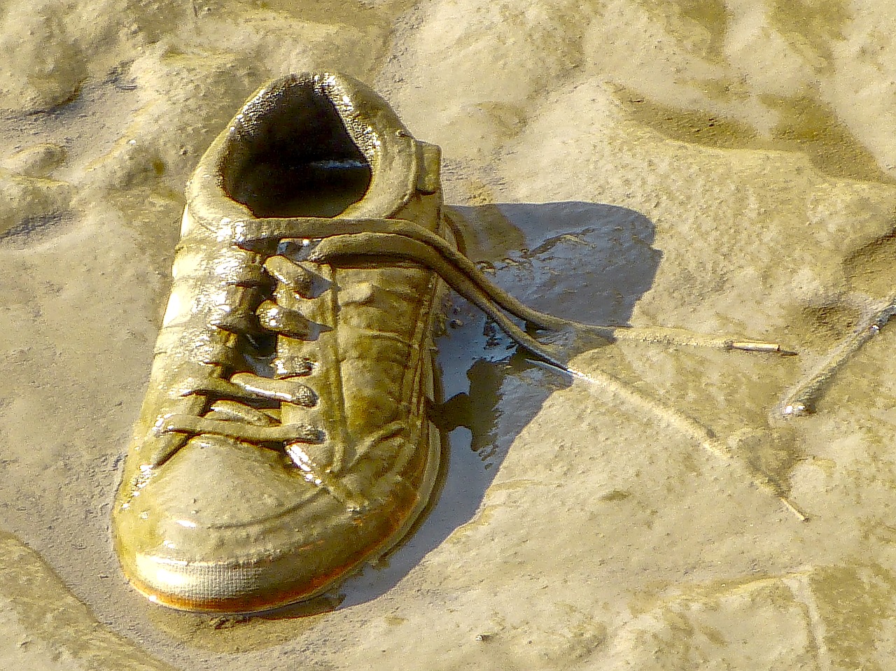 sneaker shoes mud free photo