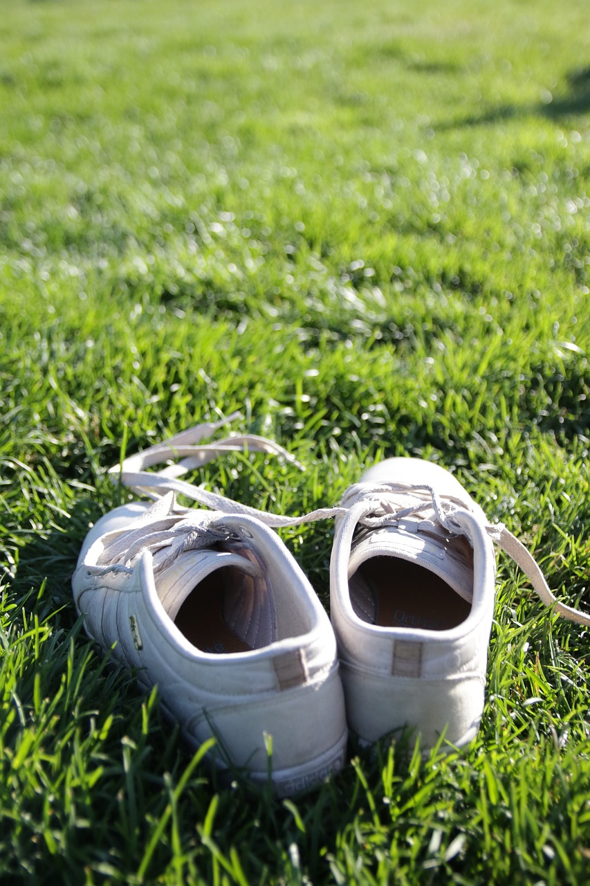 sneakers summer vacation lawn free photo