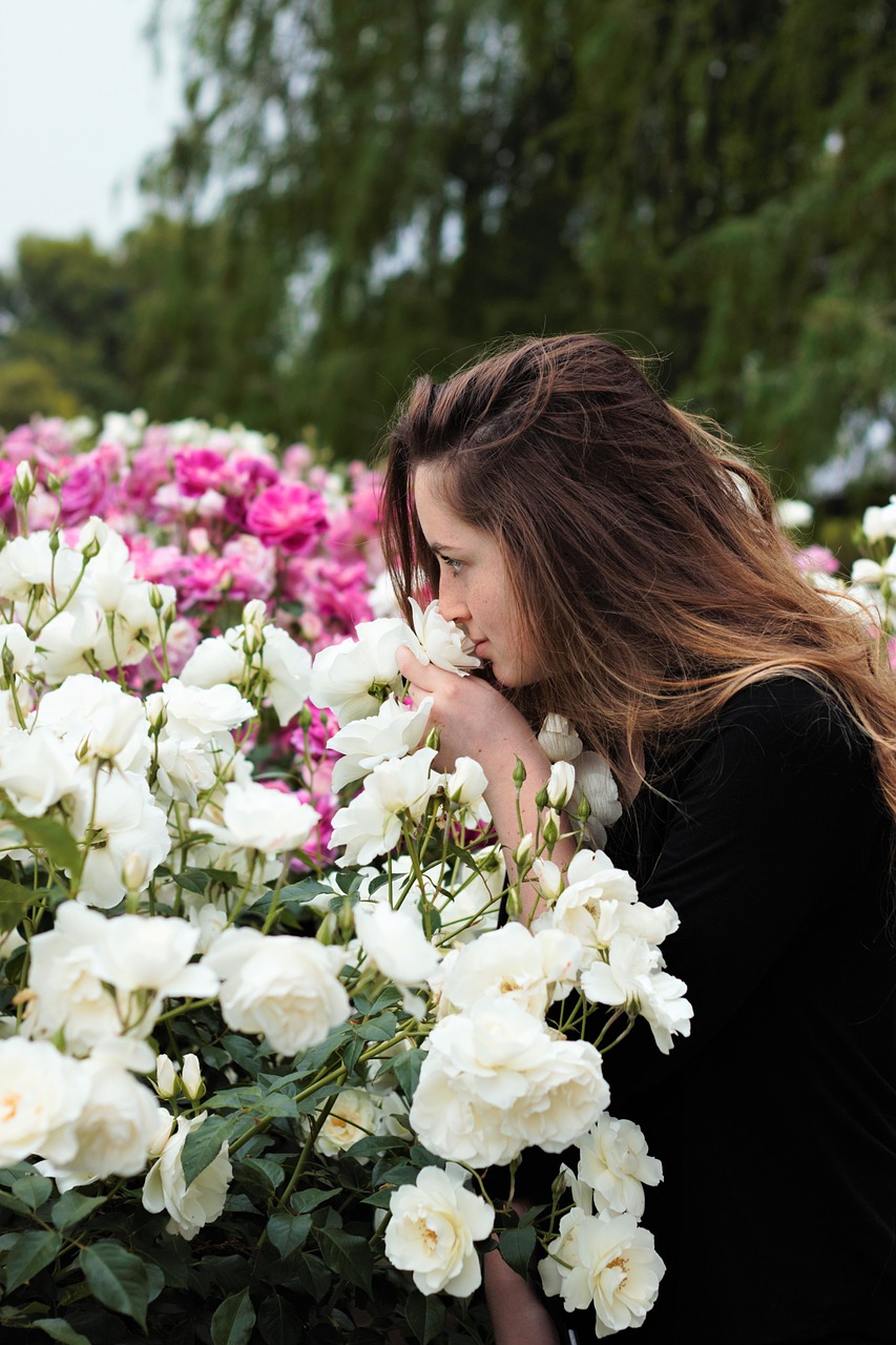 sniffing flowers sniffing roses young free photo