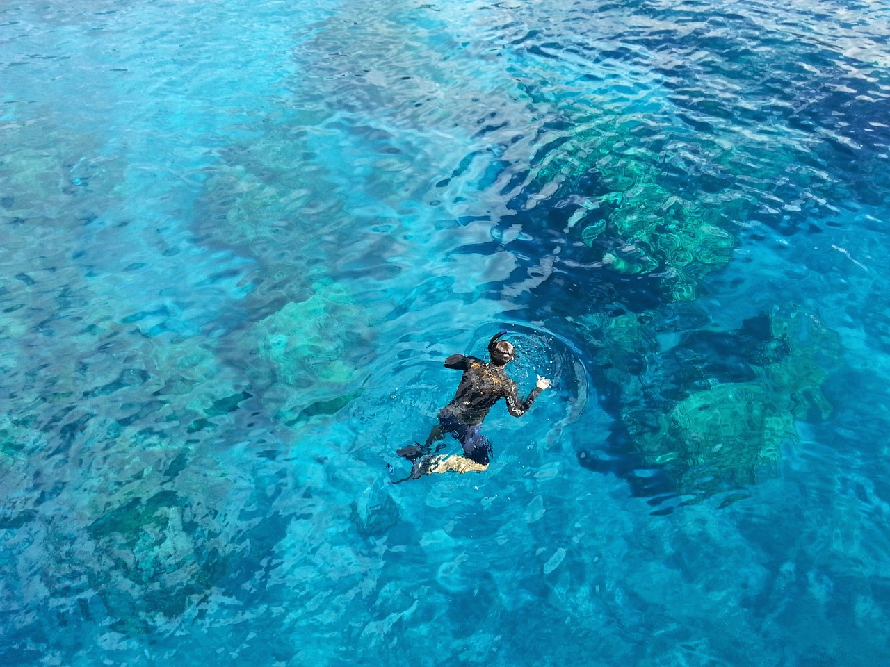 snorkeling water ocean free photo