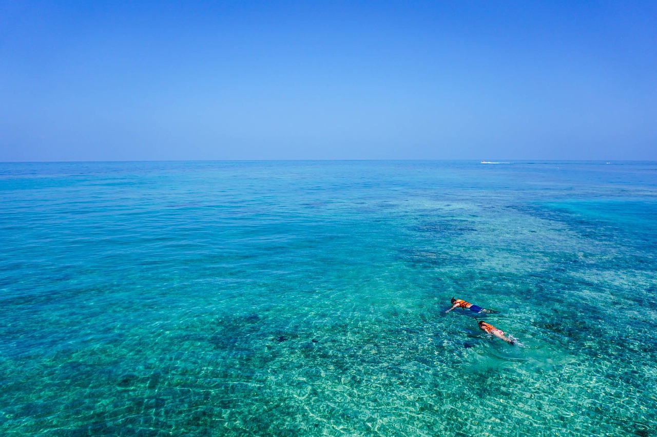 snorkeling ocean water free photo