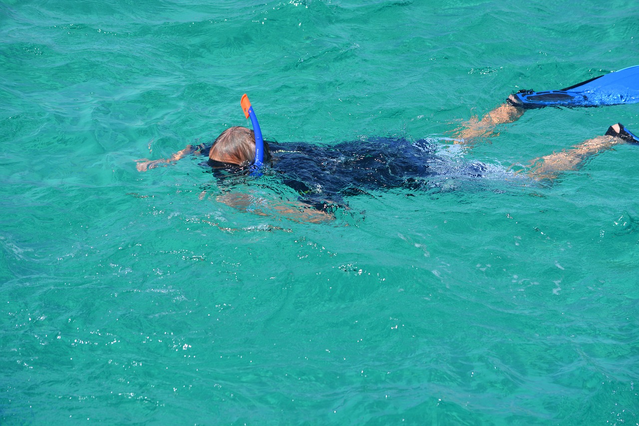 snorkeling sea egypt free photo